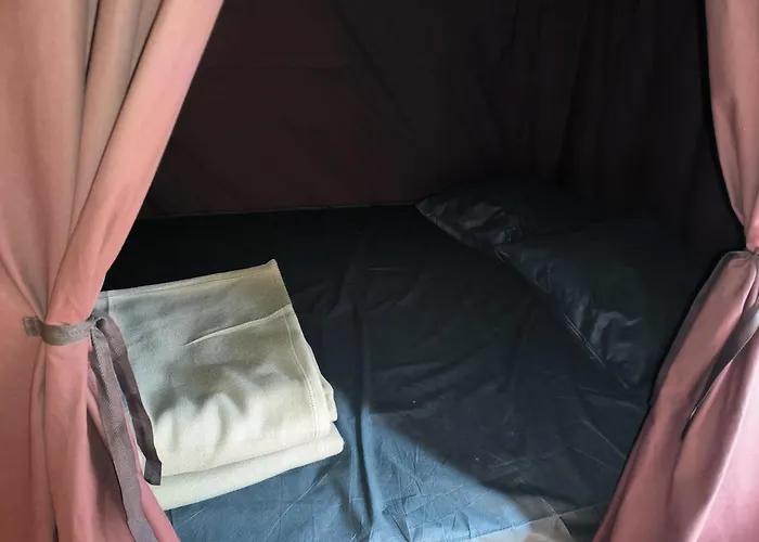 Onlycamp Du Moulin Camping Clisson